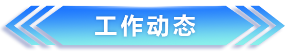 工作动态