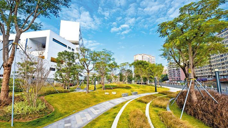 龙华油松滨水公园2_副本.jpg