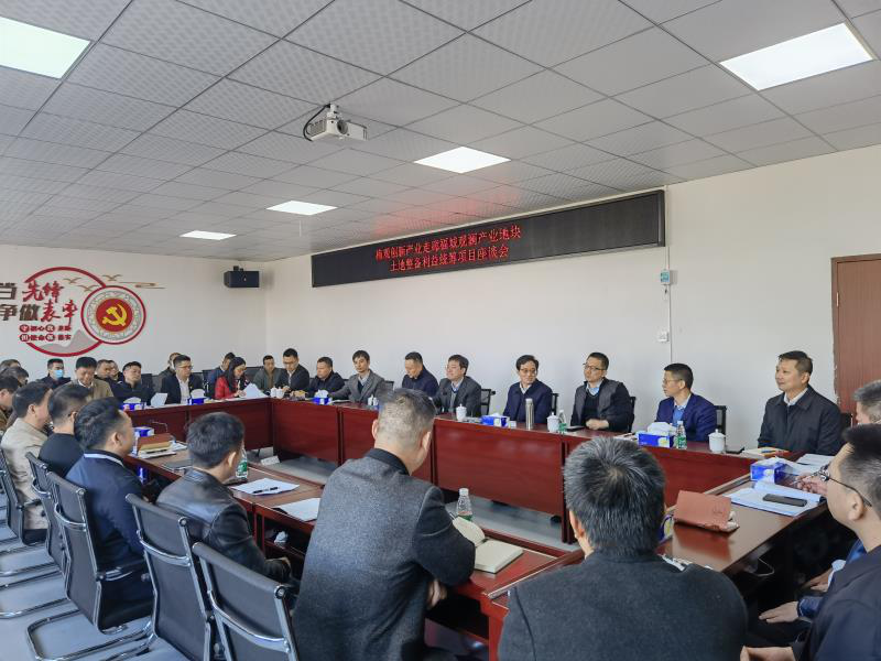 区委常委、组织部部长振兴同志和区领导艳东同志到梅观创新产业走廊福城观澜产业地块土地整备利益统筹项目现场指挥部调研
