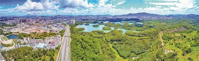 福城:以营商环境之“优” 谋高质量发展之“进”1.jpg