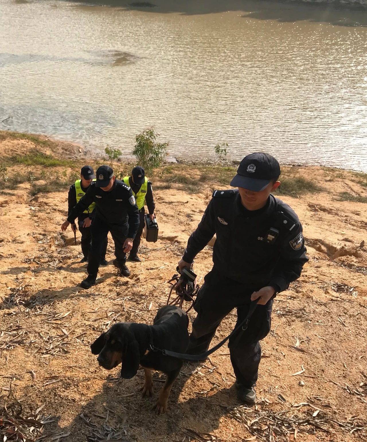 龙华分局民警携警犬在某水域附近开展失联人员搜救工作.jpg
