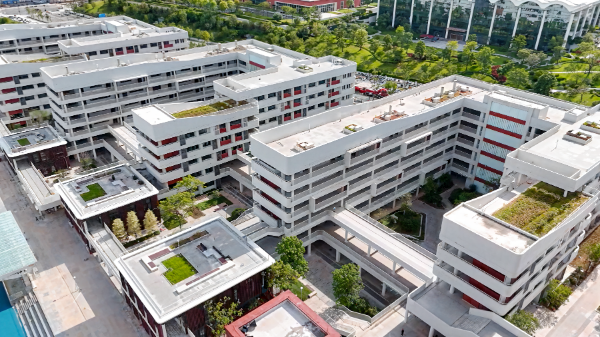 三十七高俯拍 (2).png