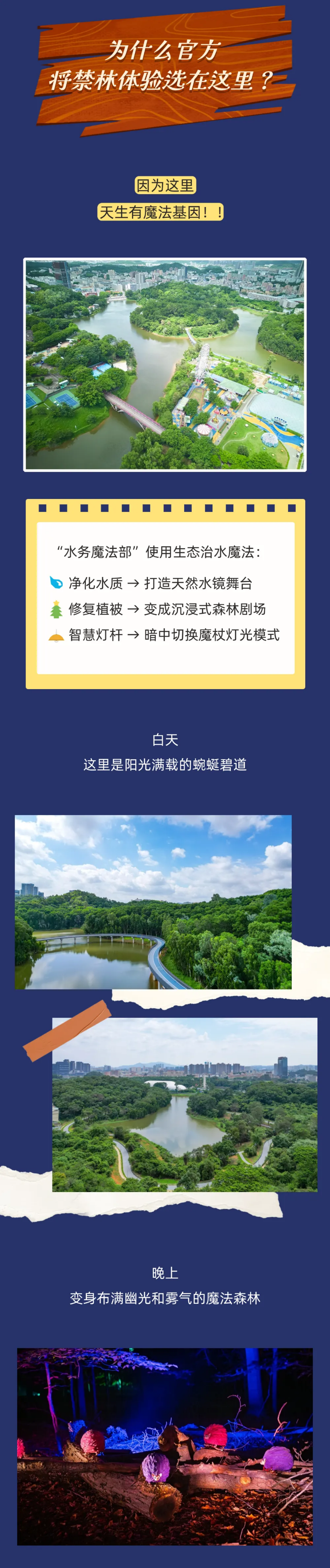 640 (3) - 副本(1).png