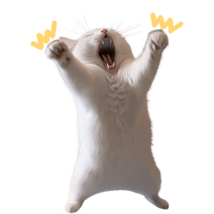 640.png