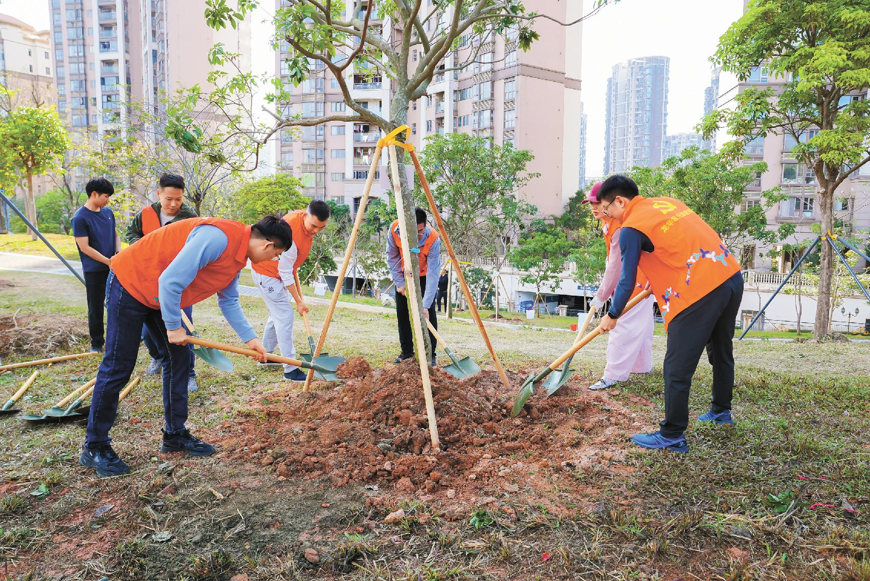 1,300 trees, one green message: Longhua steps up for APEC 2026