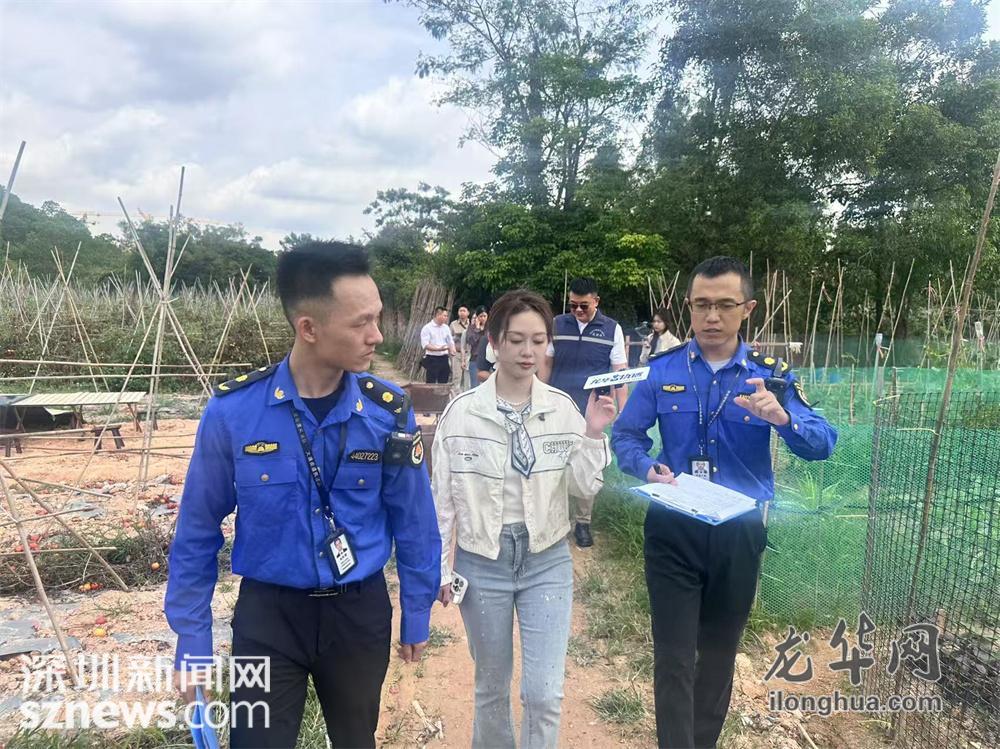 龙华“执”播聚焦耕地保护，实地检查守护良田沃土